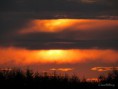 /album/bildgalleri-natur/img-1211-2-jpg/